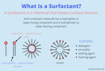 Sodium cumene sulfonate in formulation